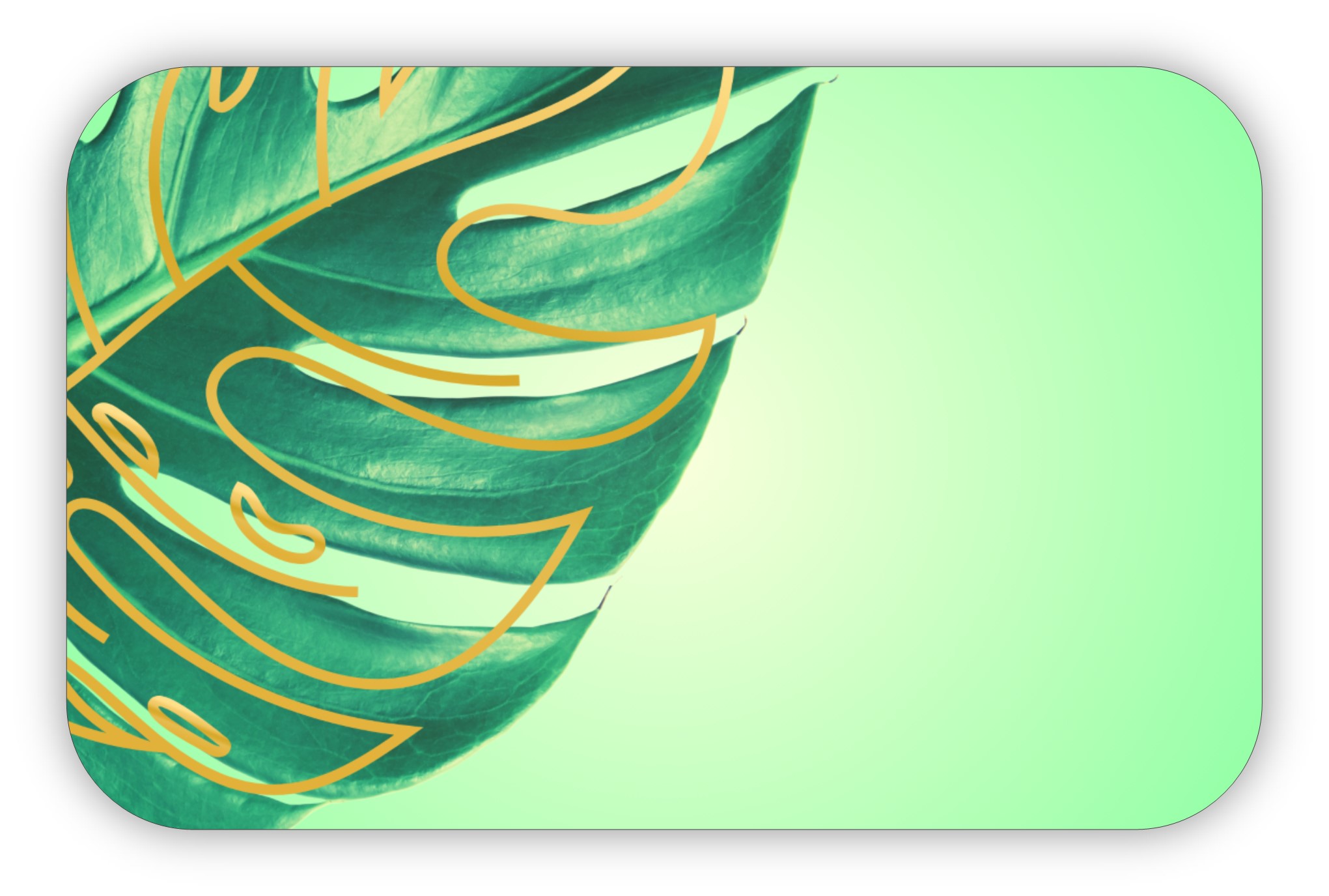 Monstera leaf outlined in gold on a light green background.