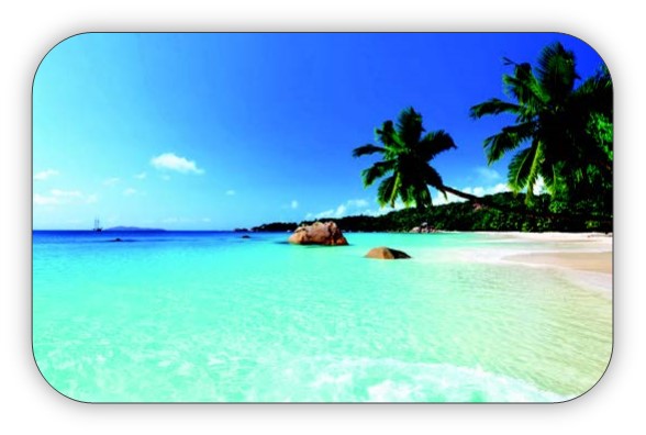 Pretty beach setting with palm trees on the sand and bright, blue sky.